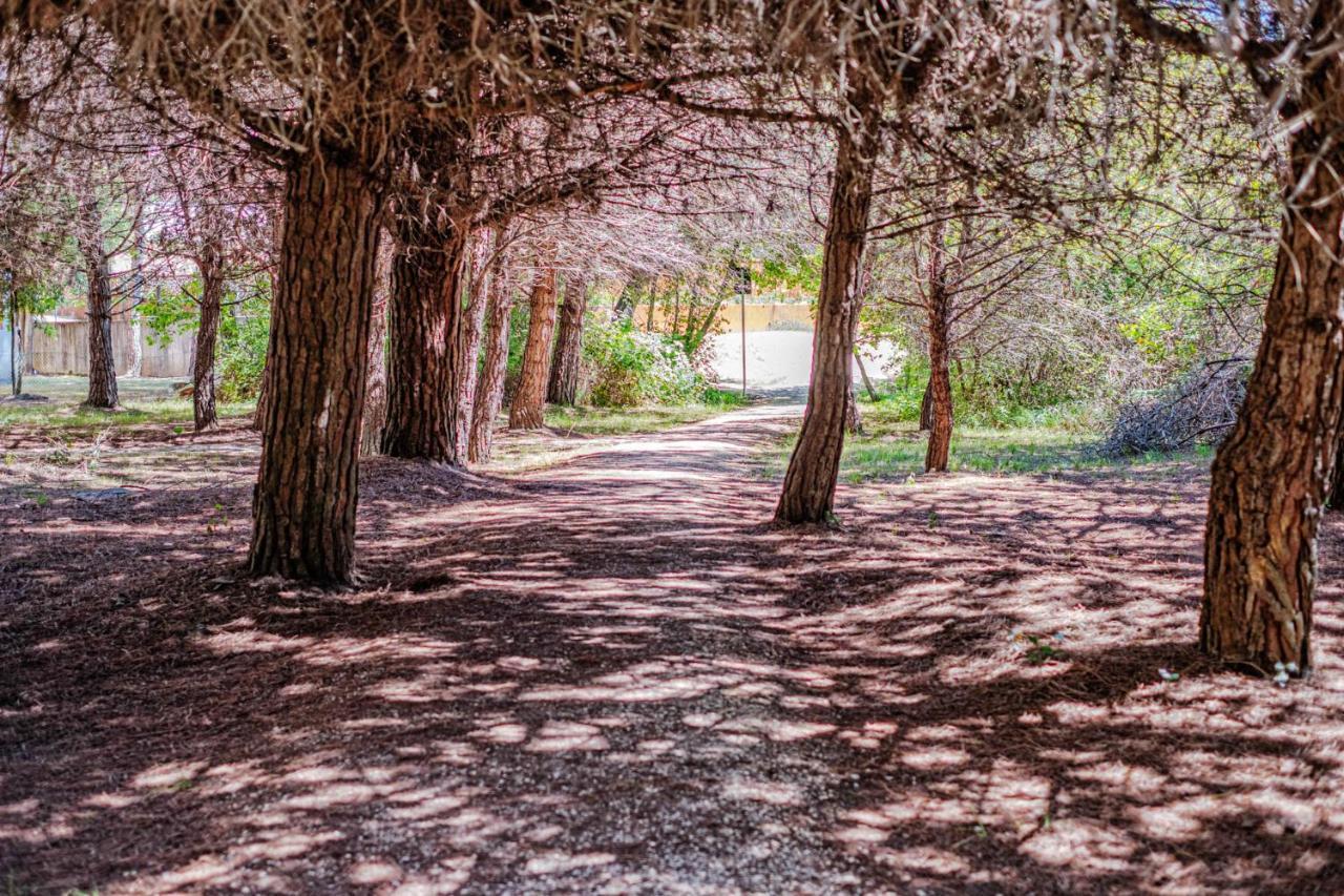 Bosco Canoro Bibione Resort 외부 사진